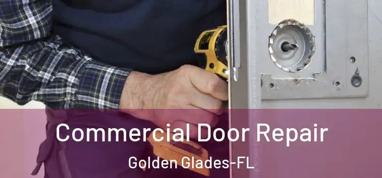 Commercial Door Repair Golden Glades-FL