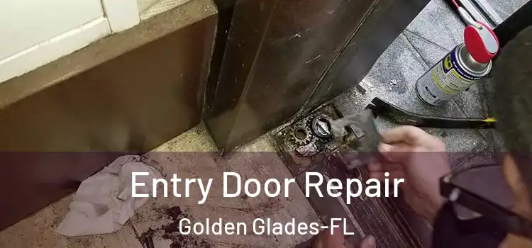 Entry Door Repair Golden Glades-FL