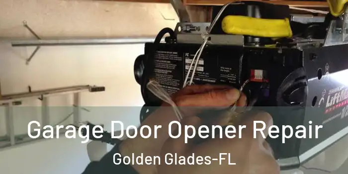  Garage Door Opener Repair Golden Glades-FL