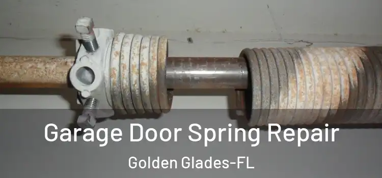  Garage Door Spring Repair Golden Glades-FL