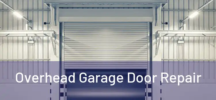 Overhead Garage Door Repair