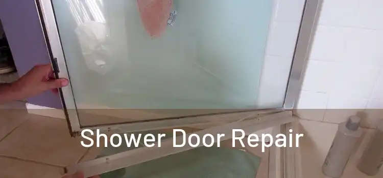  Shower Door Repair 